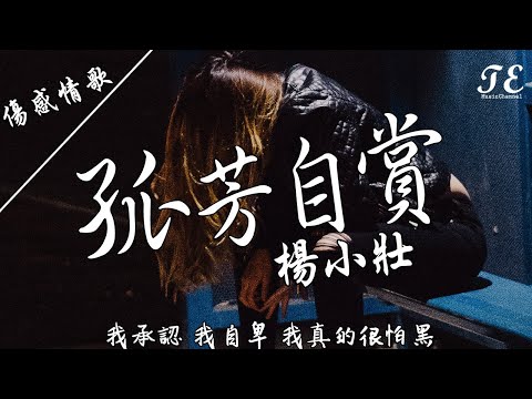 楊小壯 - 孤芳自賞 [ Something Just Like This ]【動態歌詞Lyrics】『我承認我自卑，我真的很怕黑。』