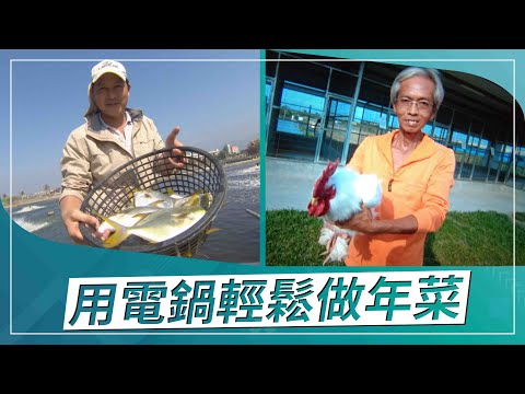 草地狀元-用電鍋輕鬆做年菜 世界奇雞復育達人VS好運年菜金鯧魚王(2021.01.25播出)