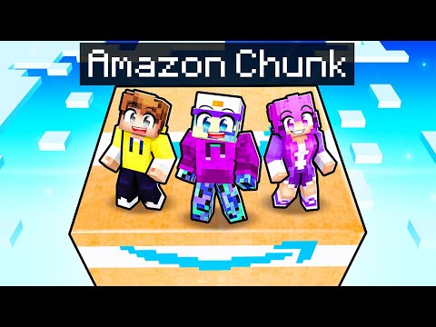Surviving on ONE AMAZON Chunk in Minecraft!