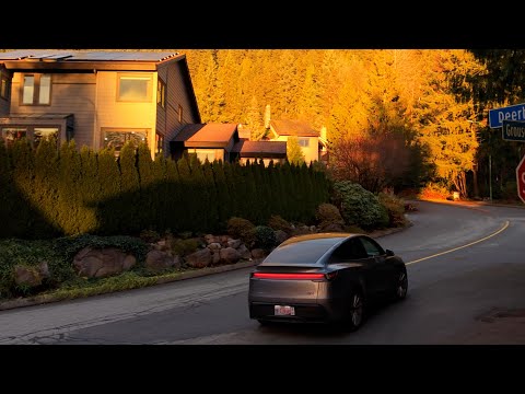 Canadian Model Y 10,000km Update!