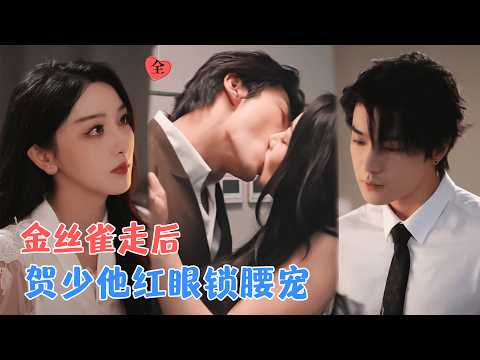 孙露鹭&邵巍 | 她以身入局成为贺爷的金丝雀，当他即将联姻时，她悄然离开，他疯了一样寻找她，因为早已情深入骨[MULTI SUB | FULL]#MiniDrama #精彩大陆短剧