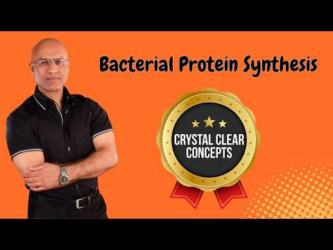 Bacterial Protein Synthesis | Translation | Cell Biology