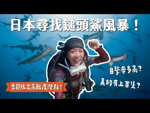 解鎖日本高級潛點！錘頭鯊風暴我來了！神子元潛水Vlog