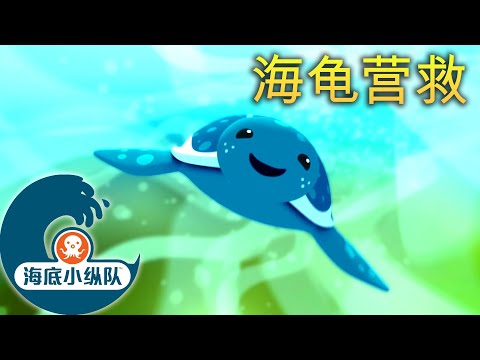 海底小纵队 - 🐢 海龟营救 ⛑️ | 集完整版