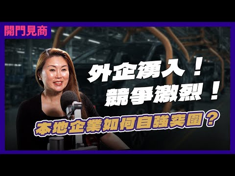 府撒钱引外企,本地企业还有活路吗?Ft. Connie Go (Feytech Holdings 执行长)