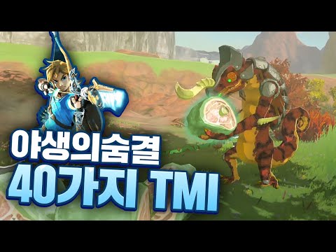 야숨 실험으로 발견한 40가지 사실들 (젤다의 전설 야생의 숨결)