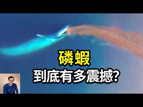 磷蝦到底有多震撼？地球上生物量最大的動物，藍鯨因牠們而生！南極磷蝦突然爆火的真相，不光磷蝦油，還有三文魚！【老肉雜談】#動物 #科普 #知識 #海洋生物 #生物