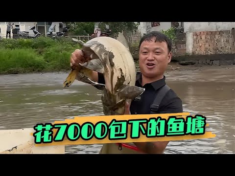 花7000包下壹位叔叔的魚塘，叔叔爲什麽急著要把魚賣掉？ #戶外 #大表哥