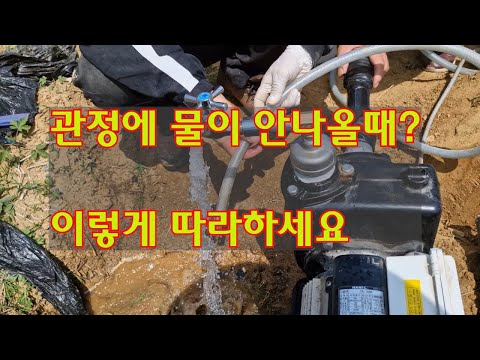 관정펌프고장!#물이 안나올 때#관정 파이프 연결방법#중고펌프 괜찮은가?#전기와 수도 어떻게 연결하나? #농사는 전기와 물이 기본 #배워보자 펌프연결#중고 고르는 법#중고펌프 가격?