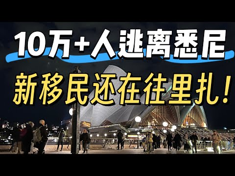 一年超过10万人逃离悉尼，海外移民还在往里扎