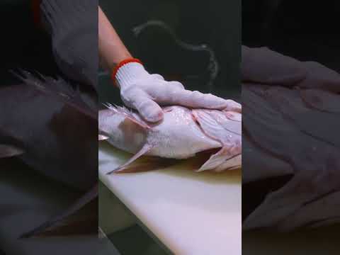 プロの華麗なる活鯛のさばき方!How to cut live sea bream