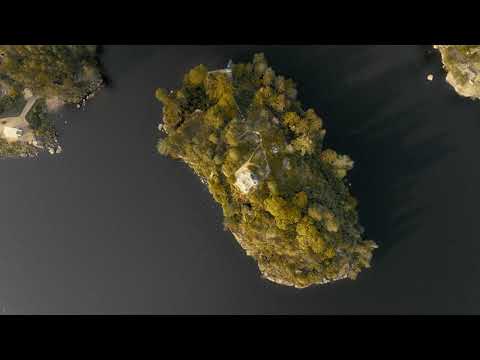 Монрепо от Пауля Николаи