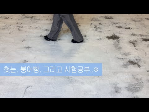 첫눈, 붕어빵, 그리고 ㅅㅣㅎㅓㅁ.. 겨울이었다 | 대학생 일상 브이로그