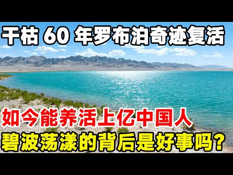 干枯60年的罗布泊奇迹复活，如今能养活上亿中国人，碧波荡漾的背后是好事吗？#科普 #科普说说说#沙漠 #奇迹 #奇闻异事
