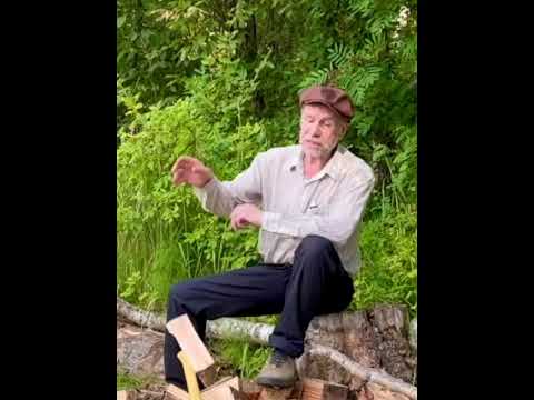 Рассказ Михаила Зощенко "Дрова"   читает Олег  Орлов