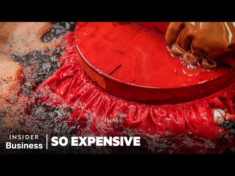 So Expensive Season 10 Marathon | So Expensive | Business Insider