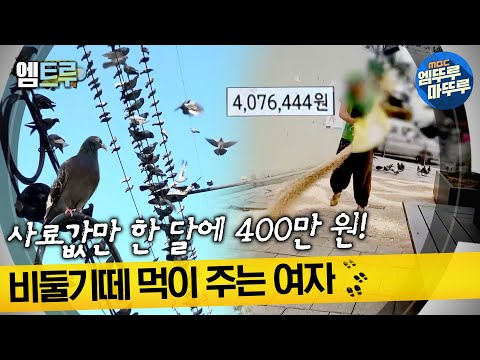 [실화탐사대] 사료값만 한 달에 400만 원! 비둘기떼 먹이 주는 여자 #엠뚜루마뚜루 #엠트루 MBC220707방송