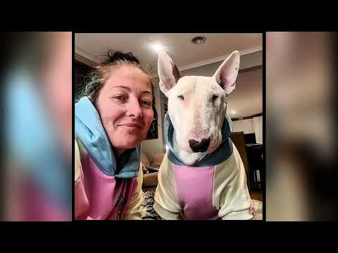 Feared by All, Loved by One: The Little Girl Who Tamed a “Dangerous” Bull Terrier