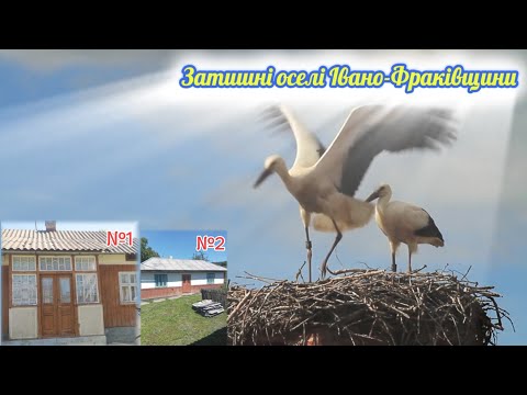 🏠Sale of cozy homes in the IVANO-FRANKIVSK REGION | Villages near the Carpathians #house,#ivano-f...