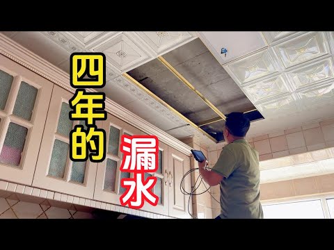 四年的漏水都没有找到原因,找到后才发现臭水堆积,虫子泛滥