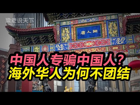 【梁老说天下】“中国人专骗中国人？”：万字深扒！海外华人为何不团结，背后的千年劣根性！| 梁老故事会 | 梁老说天下