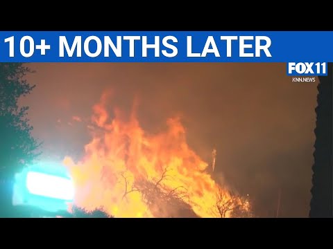 Palisades Fire recovery challenges | FOX 11 LA