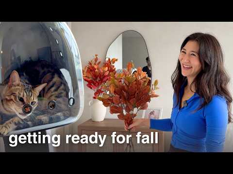 Making my apartment (and my cats) feel COZY for fall