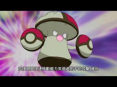 [寶可夢系列]EP006 - 波波 |  比比鳥 | 大比鳥