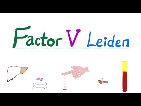 Factor V Leiden - Hypercoagulability - Bleeding and Coagulation Disorders - Hematology