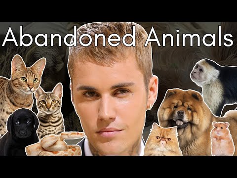 What Happened to Justin Bieber's Pets? (Pop Star With Pet Problems)