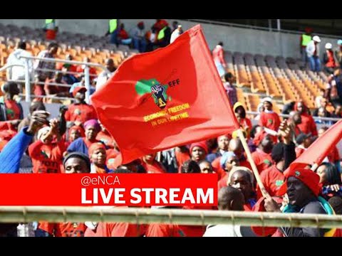 Julius Malema still testifying in the EFF,  Afriforum equality court case