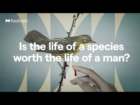 Weighing Good Intentions | Radiolab Podcast