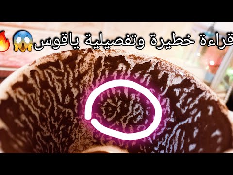 توقعات برج القوس♐️دعم واكتمال تعاملات مهنية واجراءات🎯💰هتتخلص من ده نهائي🕊تكافؤ👑؟حبيب ودي حركةمنة🤔حرف