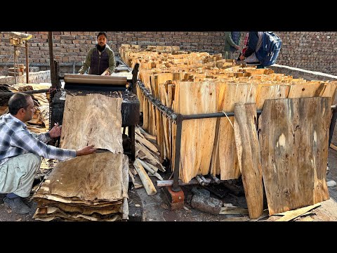 Unexpected Process of Wooden to Cloth Manufacturing then Top Final Mass Production