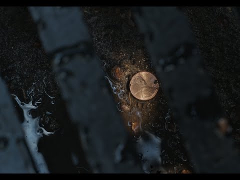 Money Is Happier When It's Digital