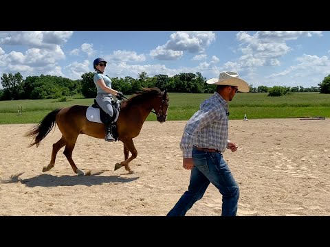 Rider's Losing Confidence with Spooky Horse