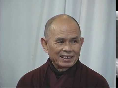Turn Every Cell On | Dharma Talk by Thich Nhat Hanh, 2005 11 12