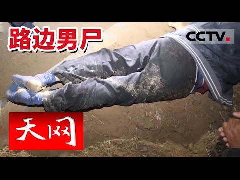 《天网》路人在公路旁发现一具男尸 究竟发生了什么？20240112 | CCTV社会与法