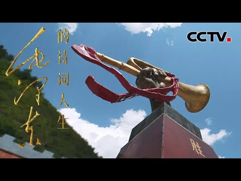 二万五千里长征浓缩在这56个字里!斗争越是艰险,毛泽东的诗词越是昂扬向上!《毛泽东的诗词人生》 第4集 沧桑正道 | CCTV「毛泽东的诗词人生」