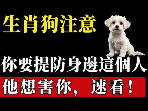 生肖狗注意！你要提防身邊這個人，他想害你，速看！#陳天師玄訣 #生肖#家運 #運勢 #風水 #財運 #命理#屬相運勢