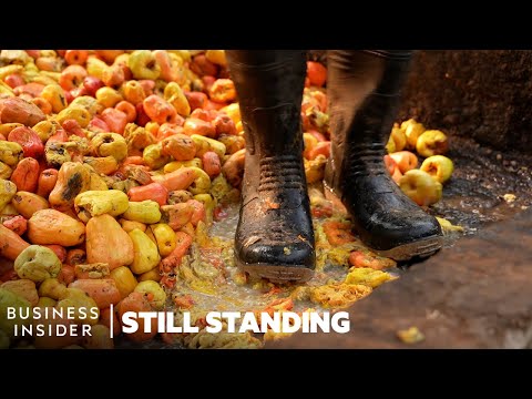 How Five Of The Oldest Cooking Traditions Survived Centuries | Still Standing
