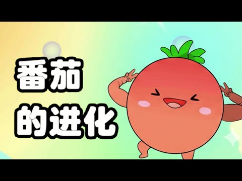 【蔬菜的超能力】番茄的进化