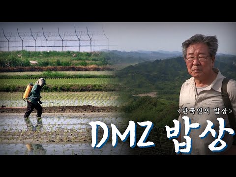 DMZ 로드를 따라 황무지를 일궈 차려낸 밥상 'DMZ 밥상', Korean Food｜최불암의 한국인의밥상🍚 KBS 방송