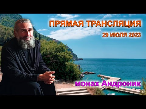 Грех аборта. Научный мир и проявление Божией сущности | Монах Андроник | Прямой эфир | Афон