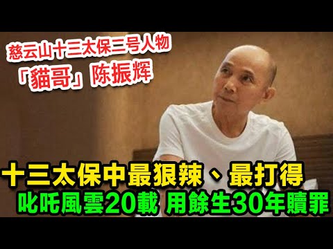 慈雲山十三太保二號人物「貓哥」陳振輝，十三太保中公認最狠辣、最打得，半生風雨半生平安，佢入黑勢力叱吒風雲20載，但就要用餘生30年嚟贖還一身嘅罪孽