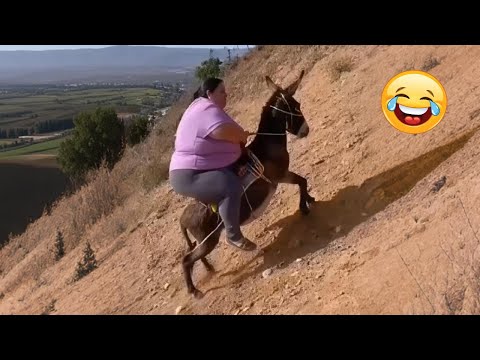 Try Not To Laugh 🤣 Top 100 Funniest Videos Ever 🎬🔥 Memes, Epic Fails & Pranks Compilation Part 31