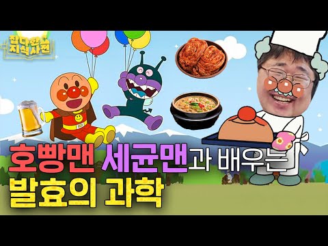 효모 사피엔스 곽재식의 '발효의 과학' | 엄마 김치와 내 김치가 맛이 다른 이유