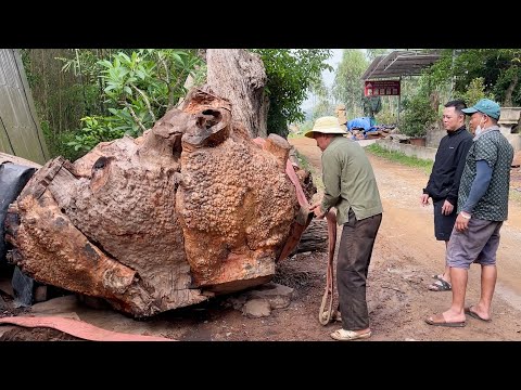 Amazing Woodworking Extremely Dangerous // The Process Of Working On A Giant Tree Stump