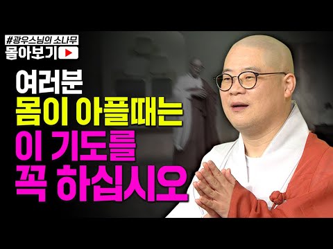 "관세음보살님을 꼭 꿈에서 뵙고 싶었지요 기도를 포기하지 않고 했더니..!" 포기하지 않고 기도를 올렸더니 일어난 가피 [초심으로 돌아가는 광우스님의 소나무 시즌3 몰아보기]