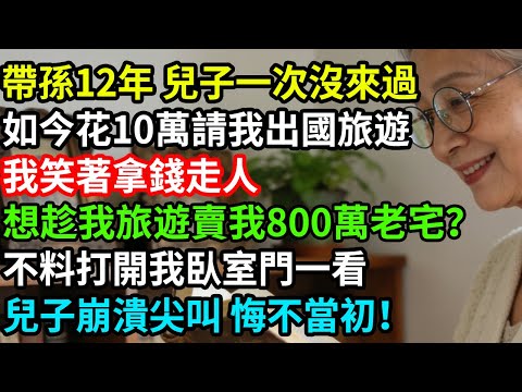 帶孫12年兒子一次沒來過，如今花10萬請我出國旅遊，我笑著拿錢走人，想趁我旅遊賣我800萬老宅？不料打開我臥室門一看，兒子崩潰尖叫悔不當初！
